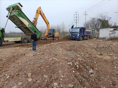 龍子湖住建局以創新模式開啟東部門戶綠化建設工程